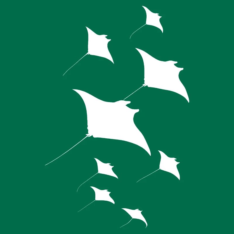 Manta Ray, Devil Ray, Stingray, Diver