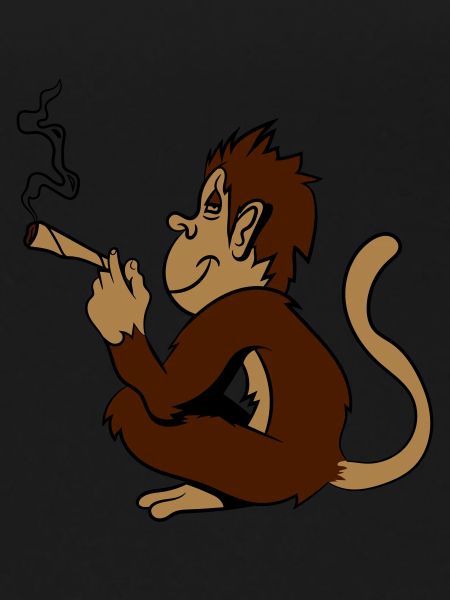 monkey weed hemp