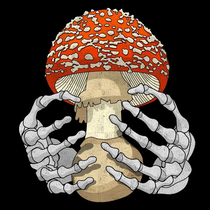 Pilz