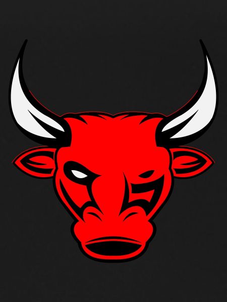 bull