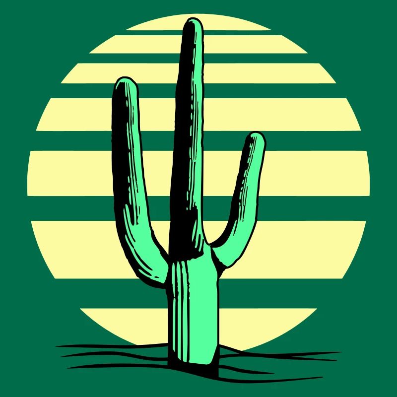 Cactus Desert Sunset Evening Night Cacti