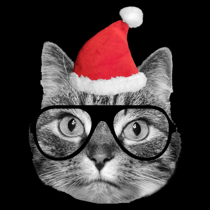 Cute christmas cat