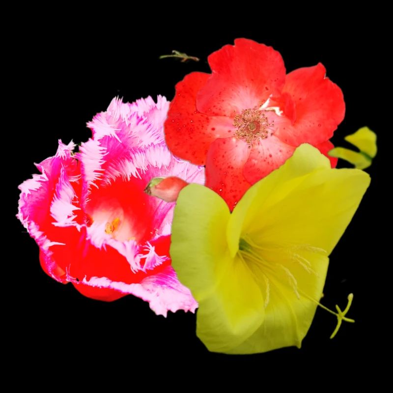 Blumen