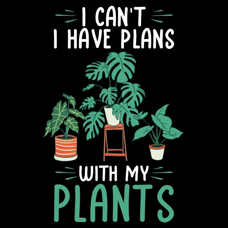 Plantes d’intérieur