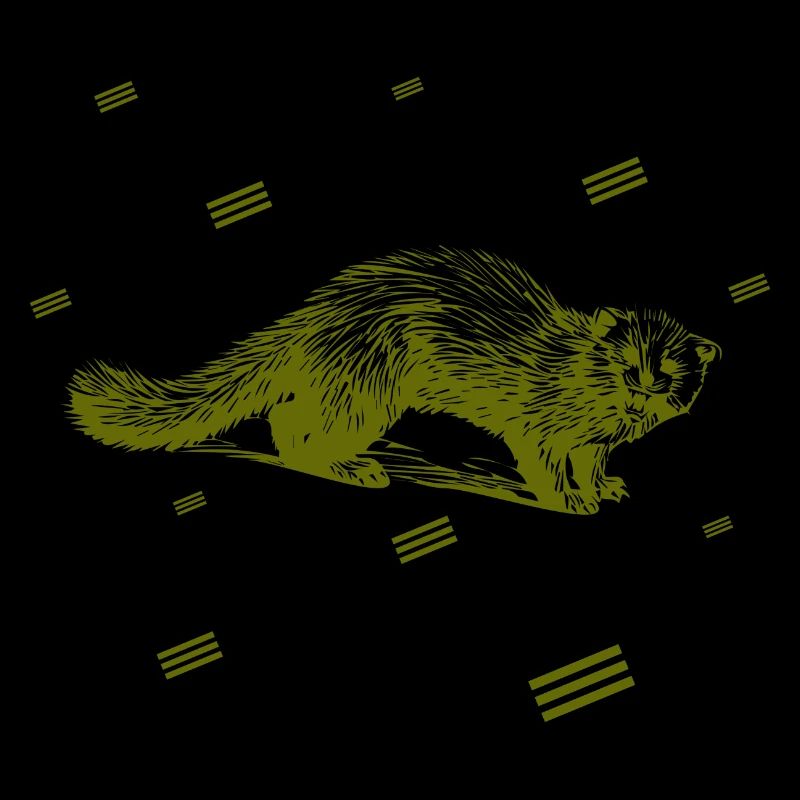 Rat - rongeur