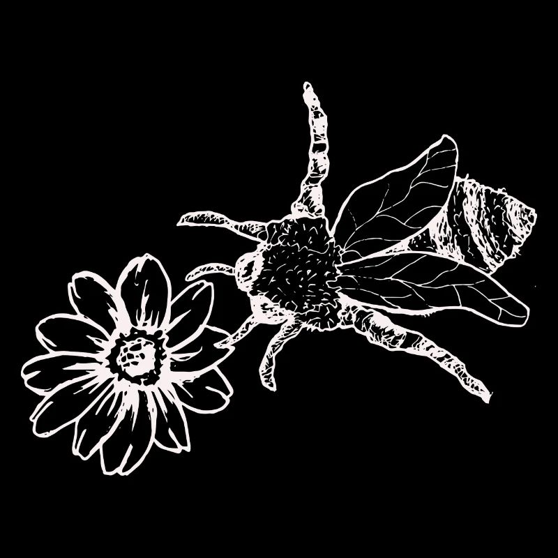 Bee Wasp Bumblebee Beekeeper Nature Conservation Environment Organic