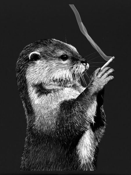 Otter