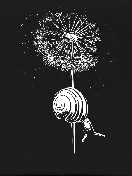Dandelion Dandelion Snail