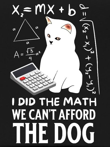 Humorous Cat Math Design