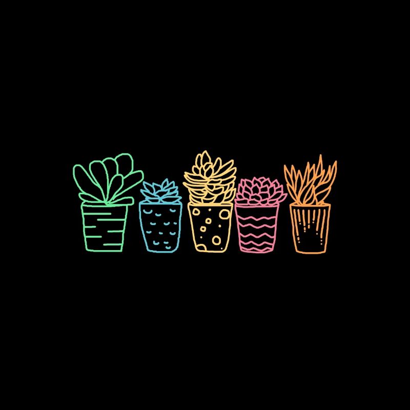 Cactus Succulentes Fleurs