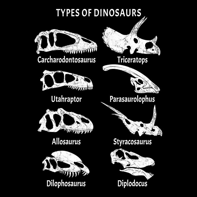 Dinosaurier Fossilien
