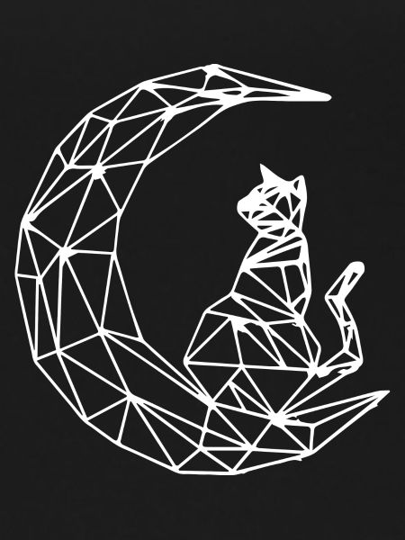 Cat Katze