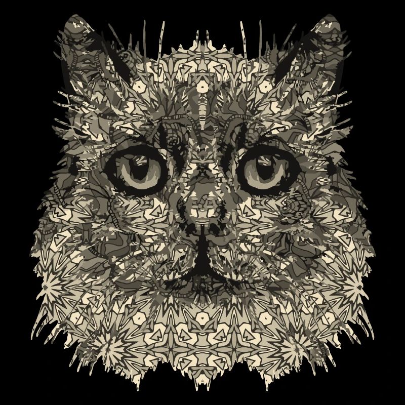 Chat