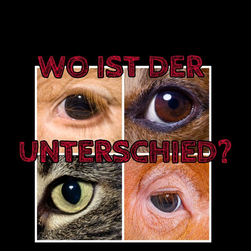 Wo ist der Unterschied?