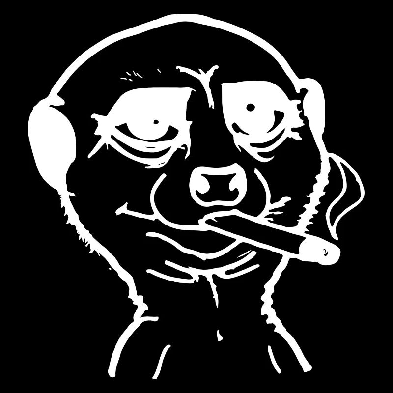 Smoking meerkat