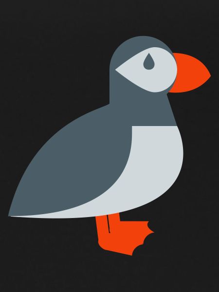 Puffin bird
