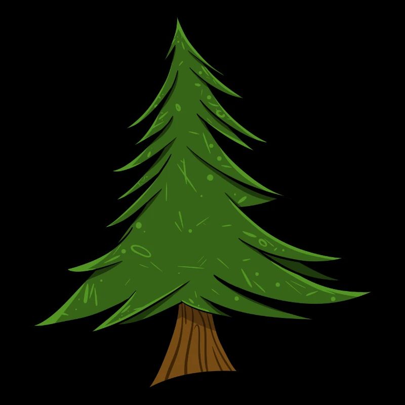 Sapin | Sapin de Noël | Pin