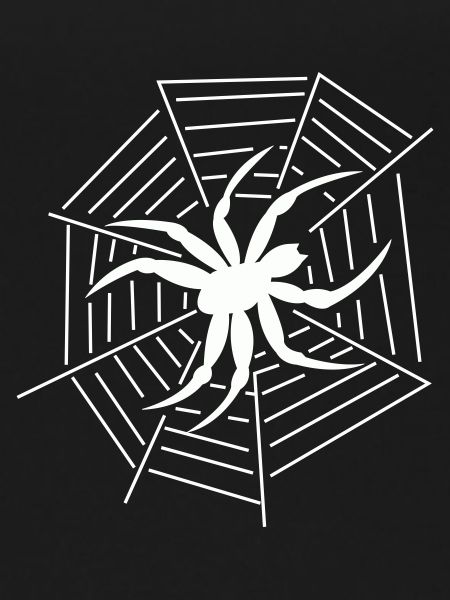 Spinne Spider