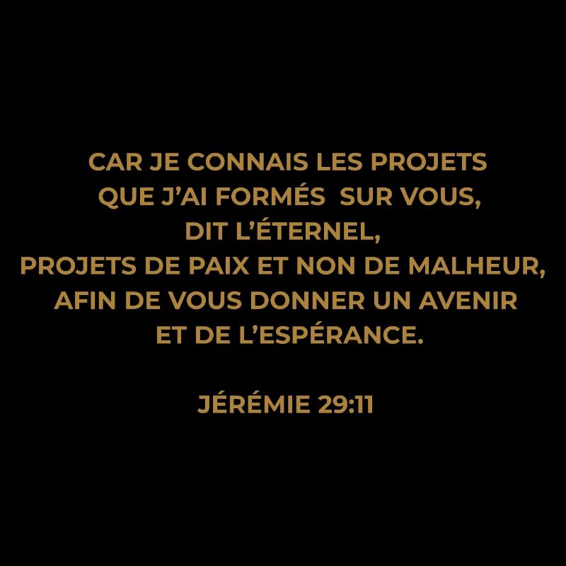 JÉRÉMIE 29 : 11 VERSET DE LA BIBLE - Version Or