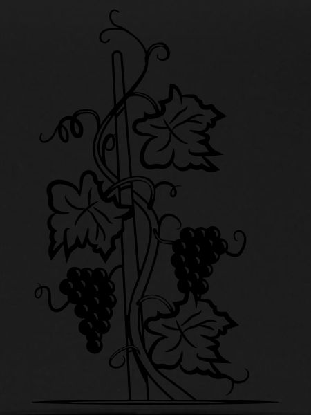 Wine vine night moon