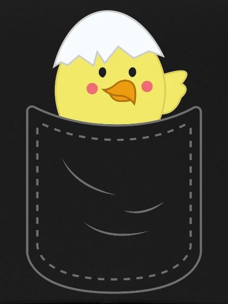 Mignon poche poitrine