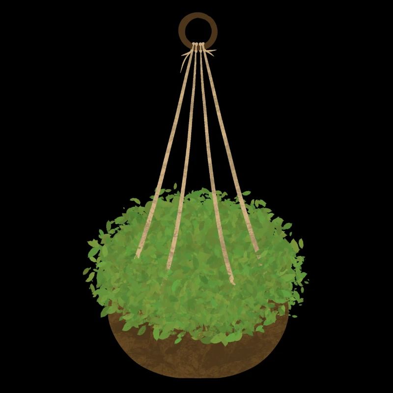 Plante Panier Suspendu Plante d’Intérieur Macramé Idée cadeau