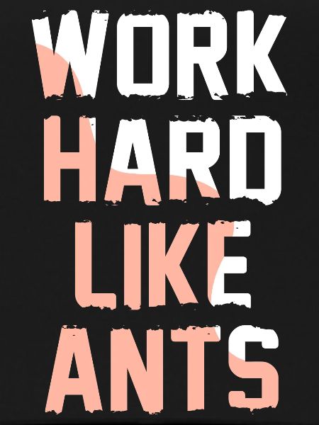 Work Hard Like Ants