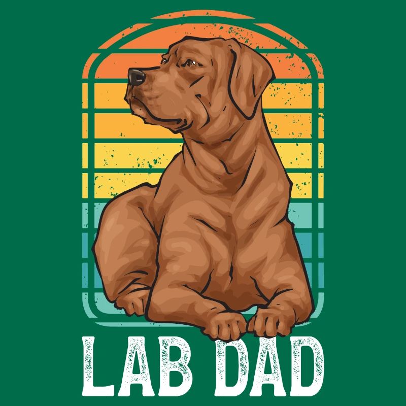 Fuchsroter Labrador Retriever Fox Red Labrador