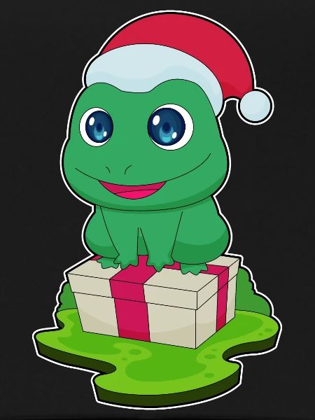 Frog Christmas Package