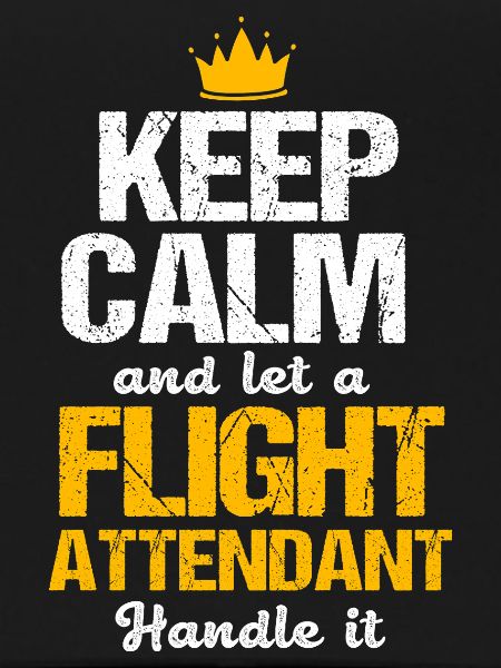 Stewardess Flight Attendant