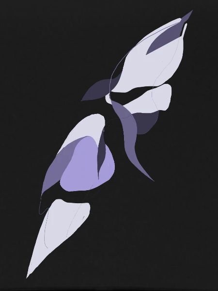 Wings of Shadow and Light