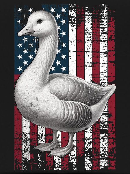 Embden Goose US Emdengans