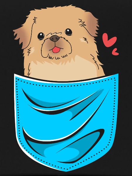 Pekinese
