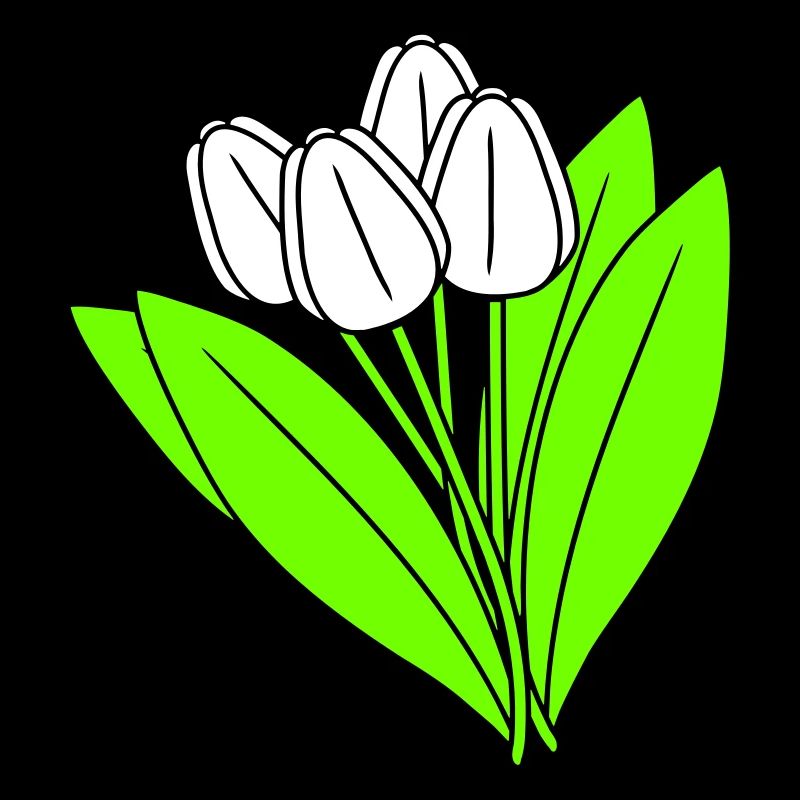 White Tulips Bouquet Spring Summer Flowers