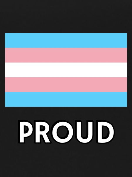 PROUD trans flag