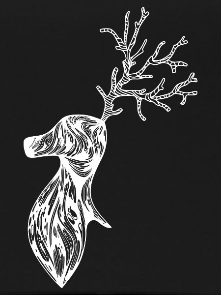 Cerf
