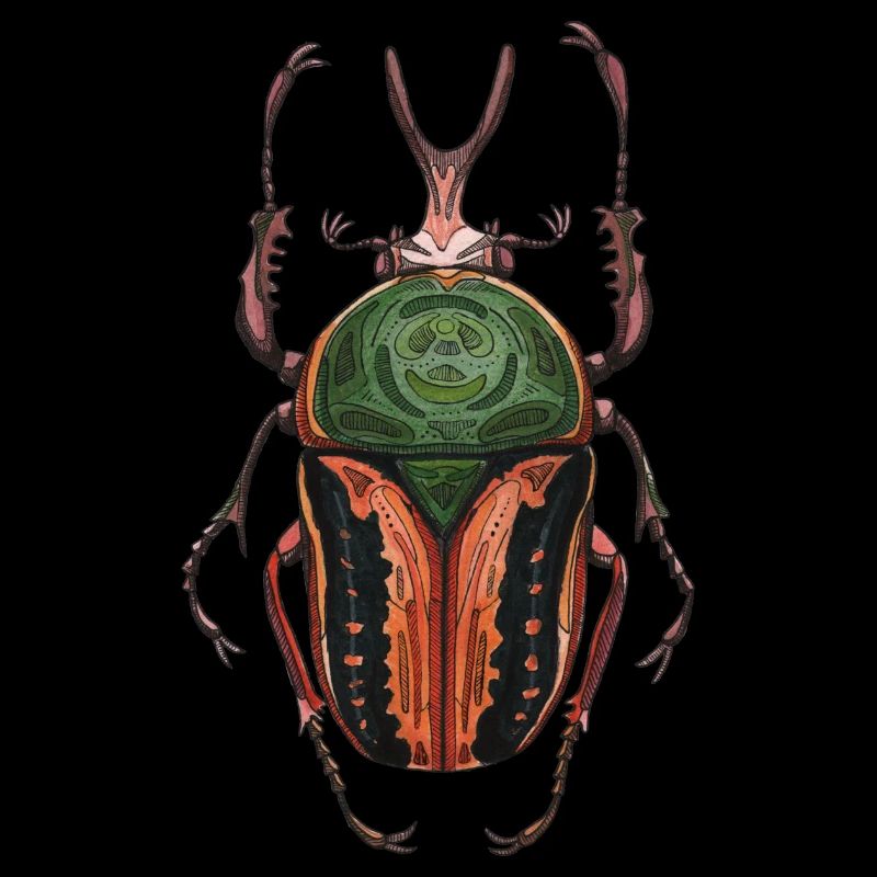 Big Beetle Stag - cerf géant