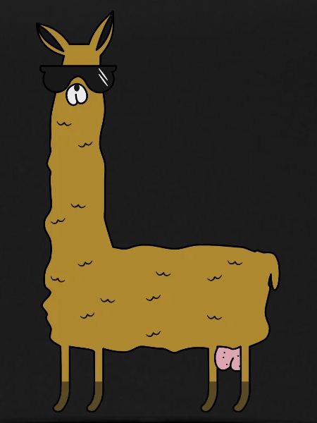 Llama with extras
