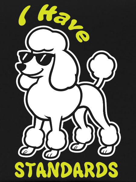 Expressive poodle with sunglasses