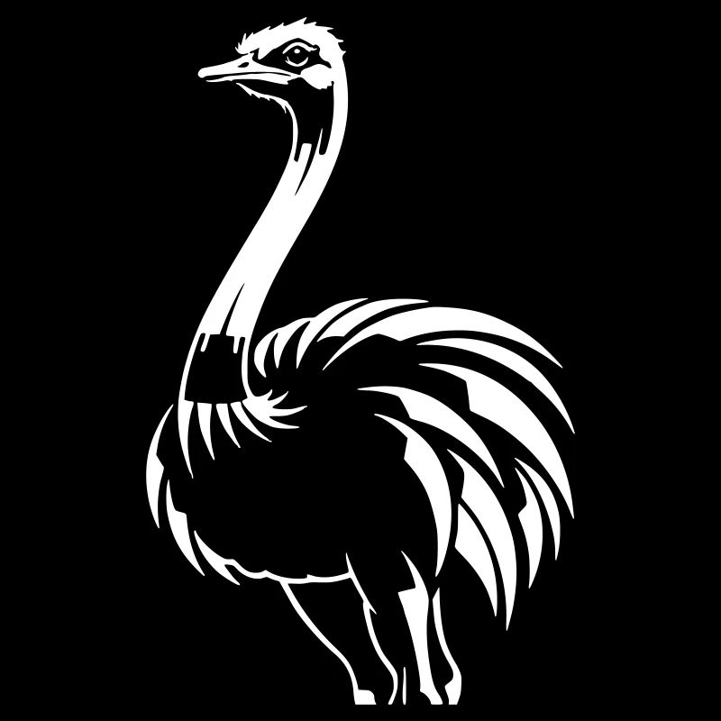 Black White Emu Strauss Strauss Silhouette vector