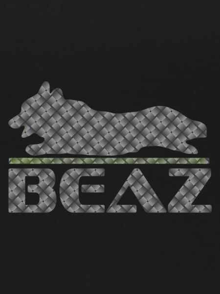 BEAZ Logo 002