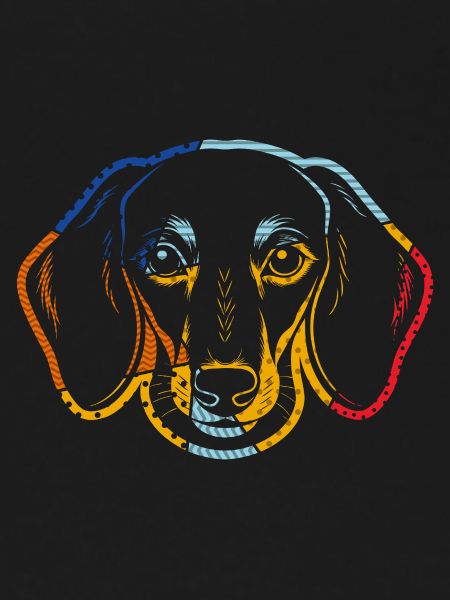 Chien teckel