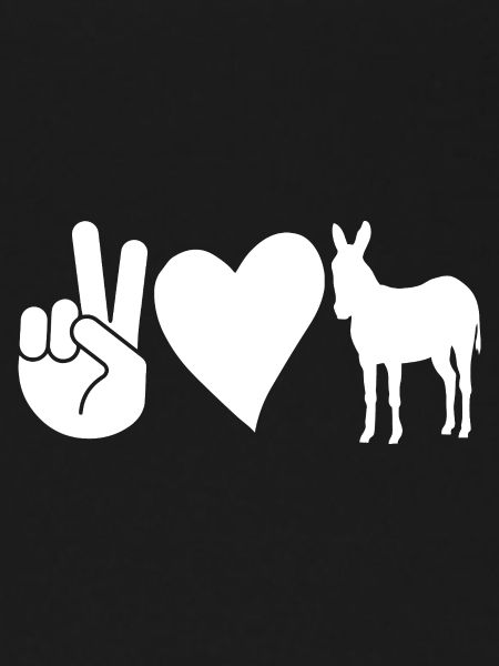 Donkey