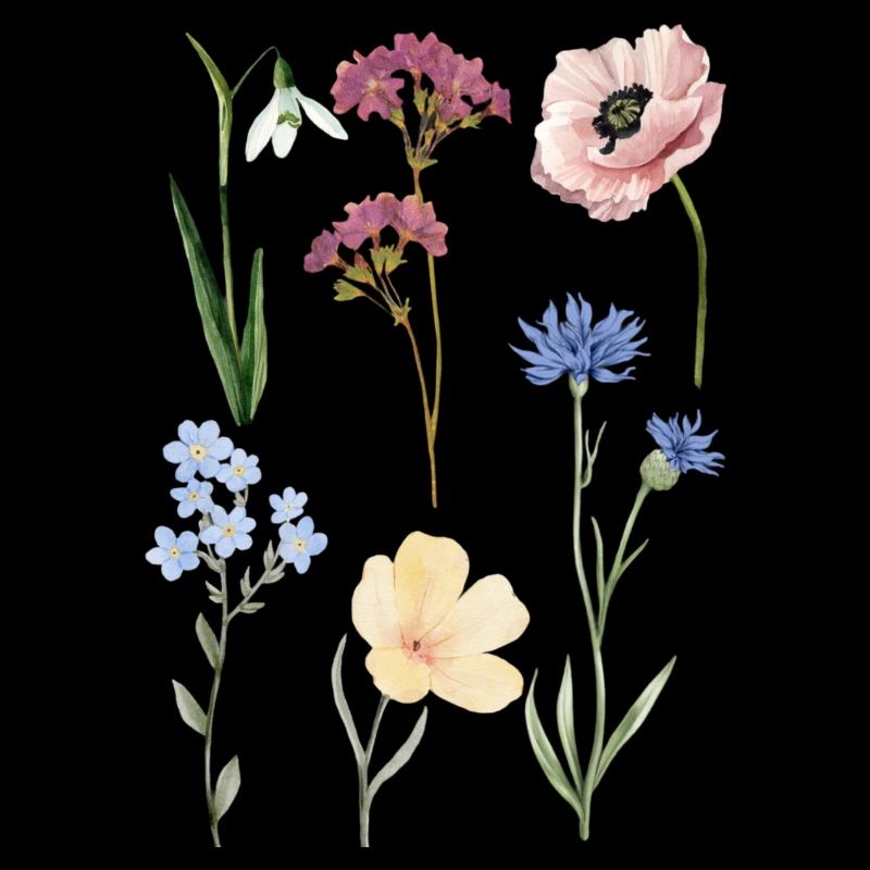 Pflanzen Blumen Blüte