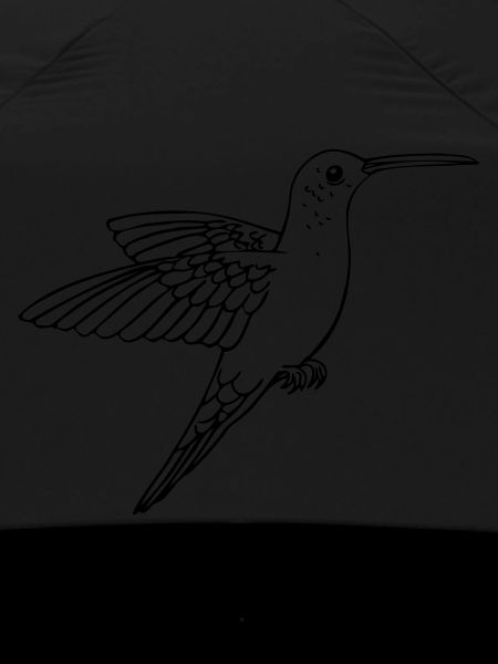 Hummingbird