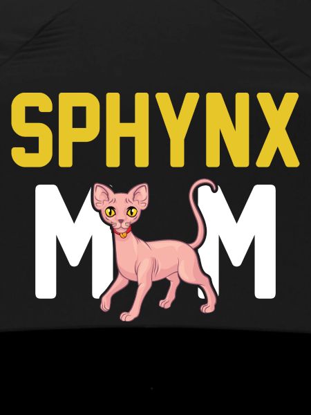 Sphynx Cat 2