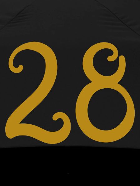 28