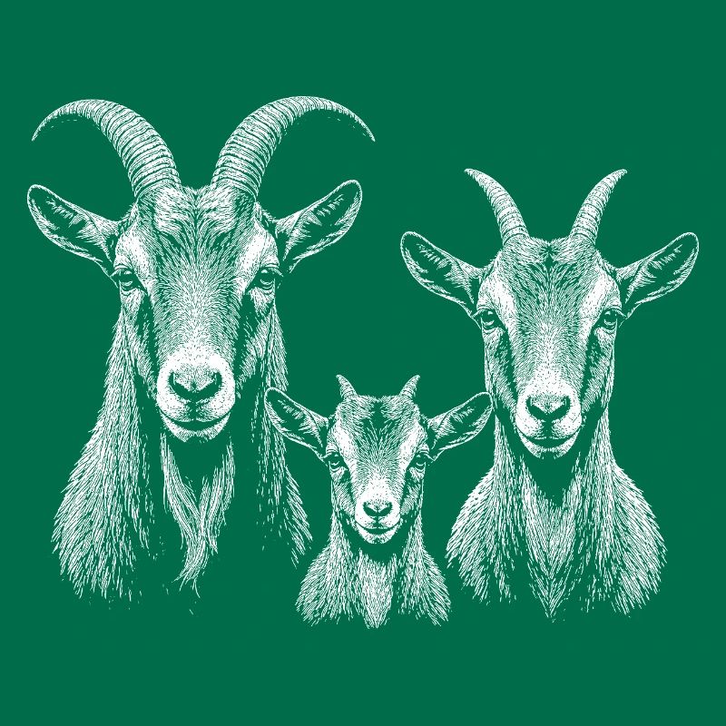 Chèvre