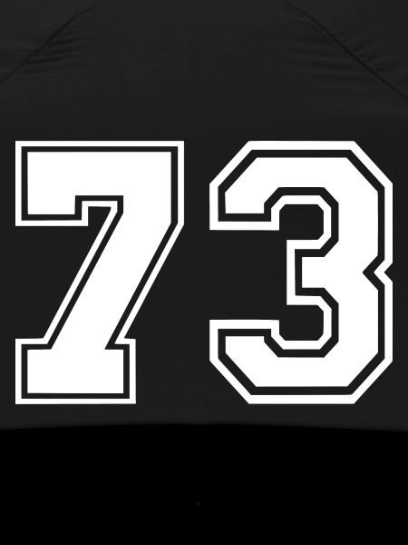 73