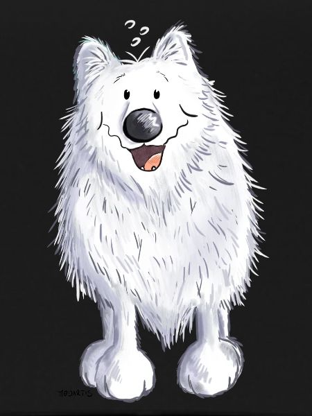 Funny Spitz
